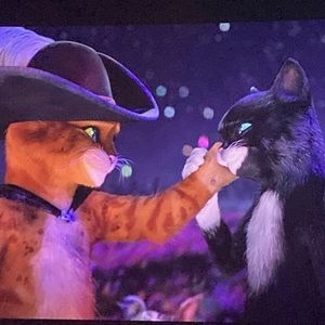 Meet your Posher, Dalila